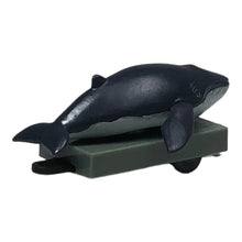 画像をギャラリービューアに読み込む, Plarail Capsule Whale Flatbed - 
